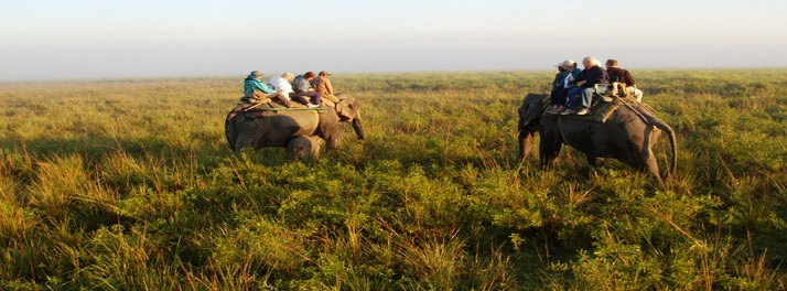 283/M.V. Mahabaahu Brahmaputra River Cruise - Guwahati 17.jpg